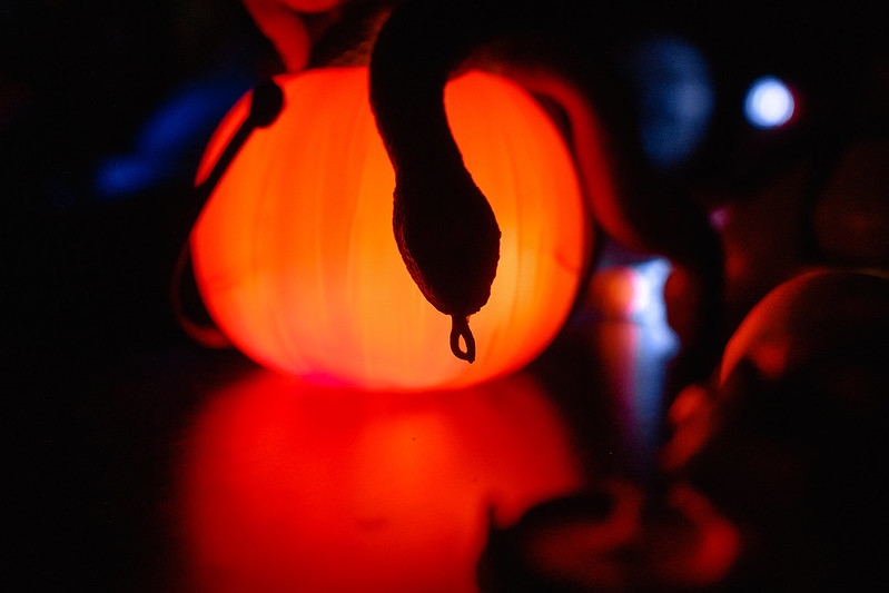 Украшение дома паутиной и летучими мышами к Хэллоуину в Sochi